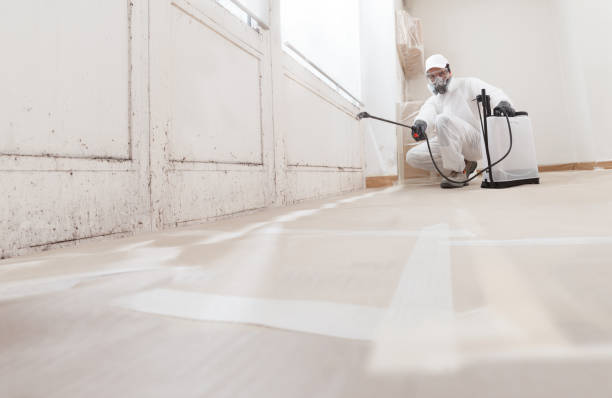24/7 Emergency Crawl Space Mold Removal experts in Winchester, VA