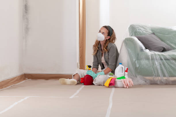 Trusted Crawl Space Mold Removal service in Winchester, VA - WQB Mold Removal