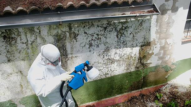 Top rated local Crawl Space Mold Removal specialists in Winchester, VA